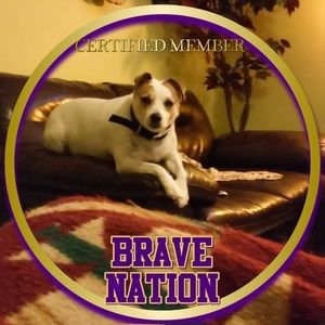 Meet your Posher, Elsie